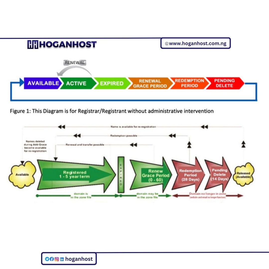 .NG Domain Name Life Cycle (.ccTLDs and .gTLDs) - HoganHost blog